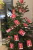 TristeconSapin.jpg
